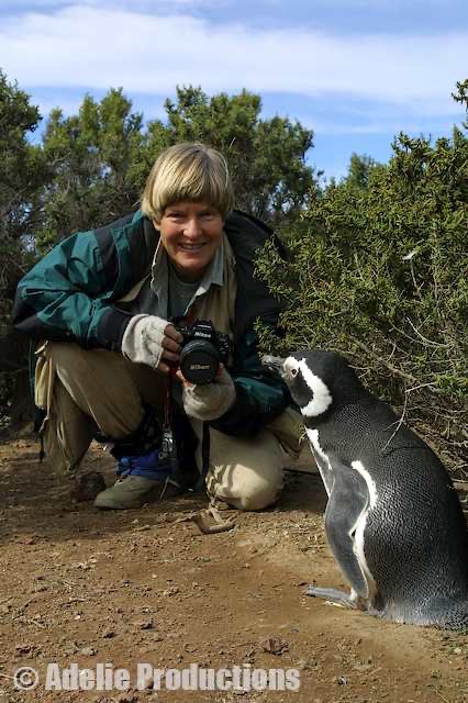 <b>Dee and Magellanic penguin, Punta Tombo, Argentina</b><br/>&ldquo;...my plan involved...joining friend and fellow penguin researcher, Professor Dee Boersma, on a research expedition to Argentina.&rdquo;