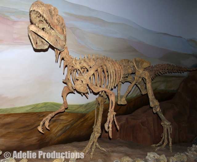 <b>Pianitzkysaurus, Trelew, Argentina</b><br/>&ldquo;...a reconstruction of a much older meat-eater with a name designed to foil even the most rabid of dinosaur-loving children...&rdquo;