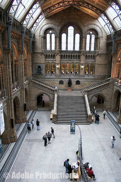 <b>Entrance Hall, Natural History Museum, London</b><br/>&ldquo;Beyond the dinosaur and up some stairs...was a statue of Richard Owen...The Natural History Museum may have been Owen&rsquo;s baby but it had grown up to be Darwin&rsquo;s child.&rdquo;